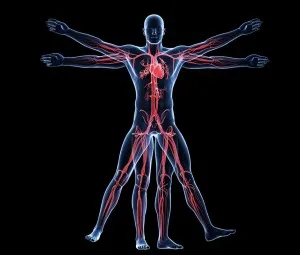 20 điều thú vị về cơ thể của chúng ta mà có thể bạn chưa biết