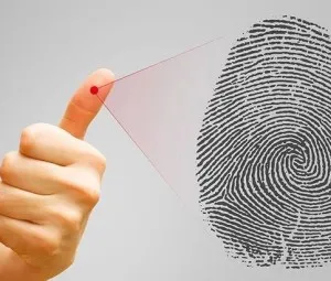 Công dụng tự nhiên của dấu vân tay là gì?