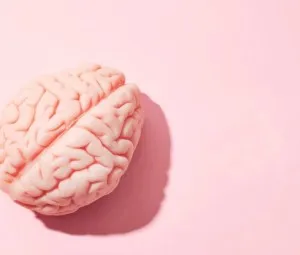 Khai thác bán cầu não phải có lợi gì?
