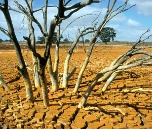 Núi lửa là thủ phạm gây nên hiện tượng El Nino?