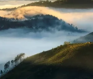 Sương mù được hình thành như thế nào?