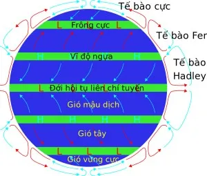 Tại sao gọi là vĩ độ ngựa?
