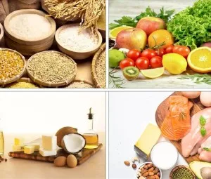 Thực phẩm ta ăn vào biến đi đâu?