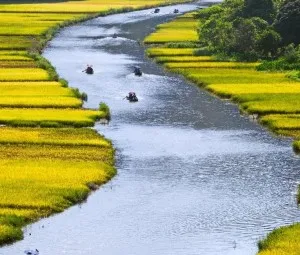 Vì sao các dòng sông uốn khúc quanh co?