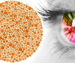Vì sao có người không phân biệt được màu sắc?