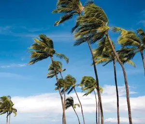 Vì sao gió thổi lên thường có trận to trận nhỏ?