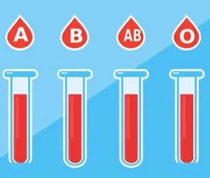 Vì sao khác nhóm máu thì không thể tiếp máu?