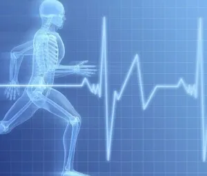 Vì sao khi chạy, tim đập nhanh hơn?