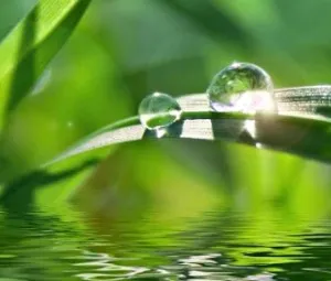 Vì sao khi có sương thì trời nắng?