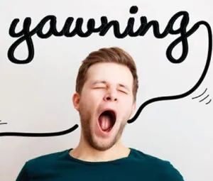 Vì sao khi người mệt mỏi lại hay ngáp dài?