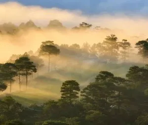 Vì sao mà những ngày mưa thì không có sương?