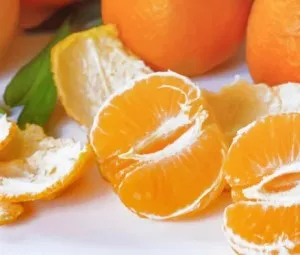 Vì sao một hạt quýt mọc lên nhiều mầm?