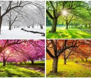 Vì sao mùa xuân cần ấm, mùa thu cần lạnh?