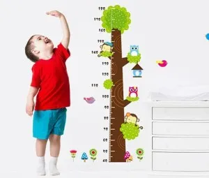 Vì sao trong một ngày, chiều cao của cơ thể có thay đổi?