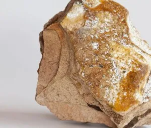 Tại sao long diên hương chỉ ở trong bụng của cá nhà táng?