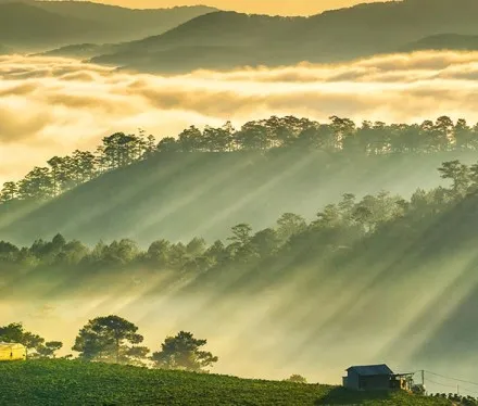 Vì sao lại có sương mù?