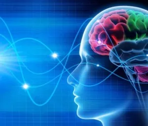 Âm thanh có ảnh hưởng gì đến não?