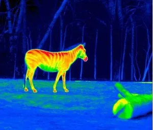 Bạn đã nghe nói máy chụp ảnh tia hồng ngoại bao giờ chưa?