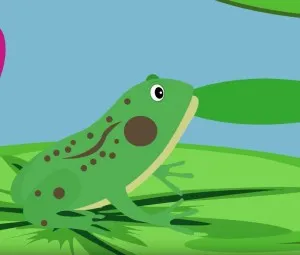 Cóc là một loài ăn côn trùng thiện nghệ, tại sao đôi lúc cũng bị côn trùng ăn lại?