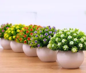 Khi bạn không có mặt ở nhà, làm thế nào để chậu hoa vẫn được tưới nước?