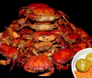 Tại sao cua chúng ta ăn thường ngày lại nhỏ?