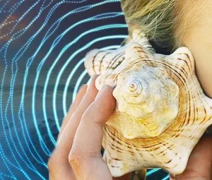 Tại sao lại nghe thấy tiếng sóng biển trong lòng vỏ ốc?