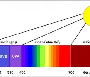 Tia hồng ngoại là gì?