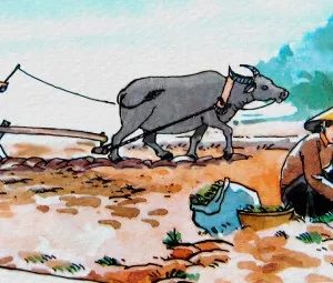 Bà chủ và người đi cày