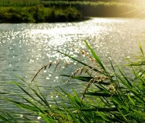 Bạn đang lớn…