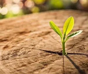 Bạn để lại gì cho cuộc sống