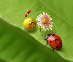 Bầu trời nức nở