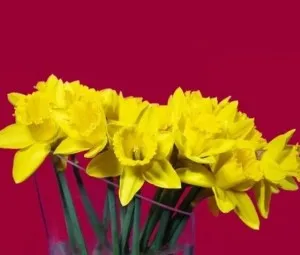Báu vật tiềm ẩn