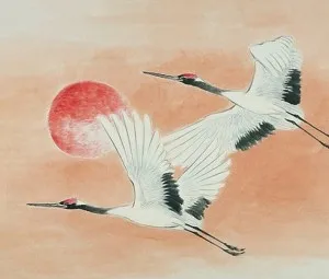 Bẫy cò