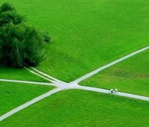 Bình tĩnh trước những ngã rẽ cuộc đời