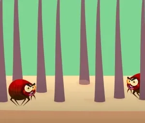 Bọ chét và người đàn ông