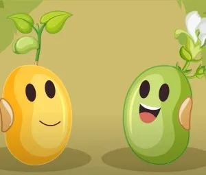 Câu chuyện của hai hạt mầm