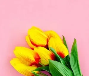 Câu chuyện tình yêu #2