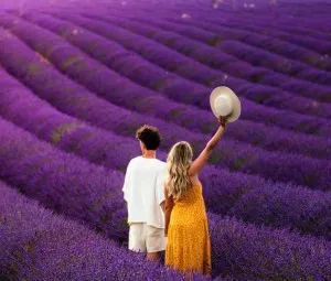 Cậu đừng lo, tôi chính là hi vọng