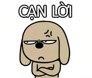 Câu trả lời ấn tượng khiến đối phương cứng họng là?