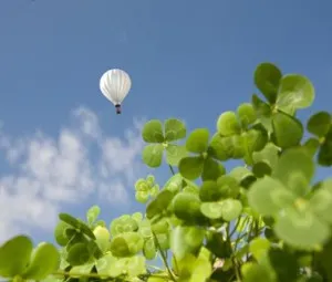 Chắp cánh ước mơ