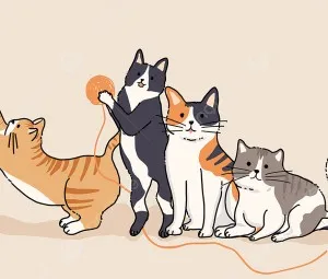 Chị Mèo nhận họ