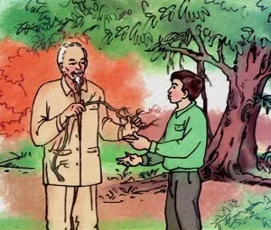 Chiếc rễ đa tròn
