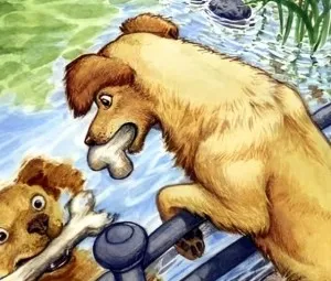 Chú chó tham ăn và cái bóng