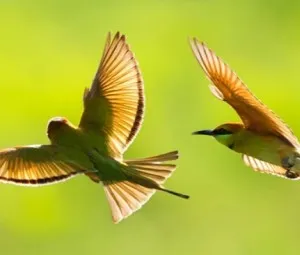 Cố gắng từng chút một