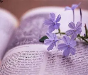 Cuộc chiến với tử thần