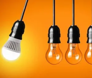 Điều kỳ diệu của cuộc sống