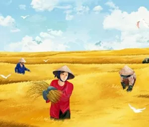 Đốt cháy đồng lúa chín