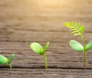 Giá trị của cuộc sống
