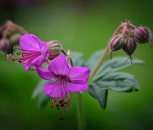 Giữ nó lại, nếu em có thể...