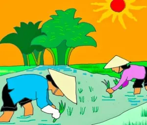 Hạt gạo làng ta